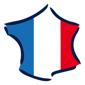 picto france tricolor